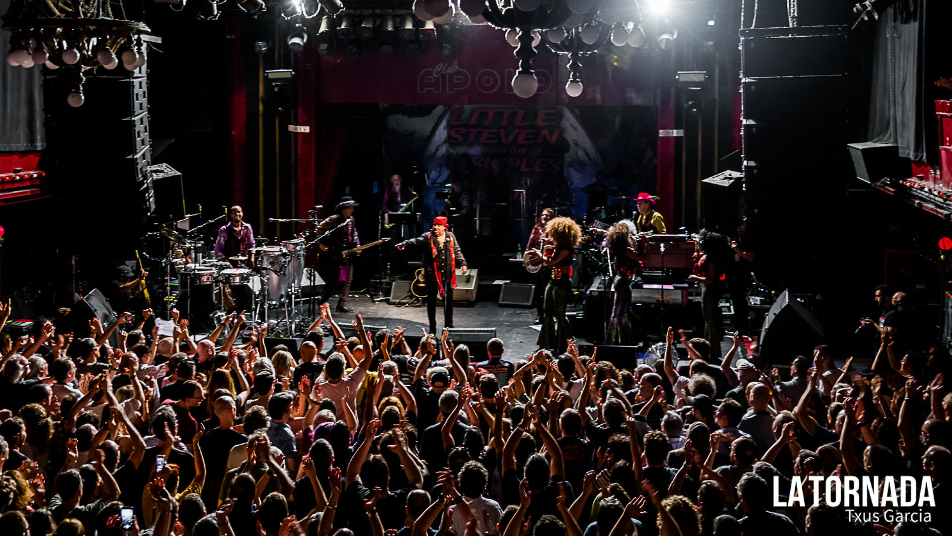 Little Steven and The Disciples of Soul