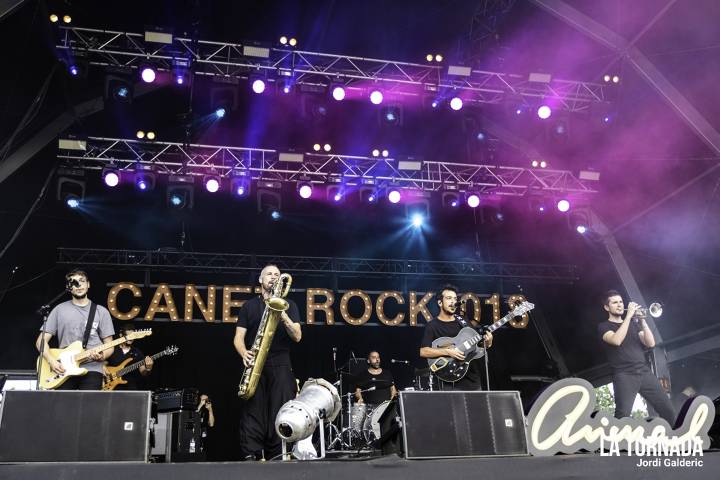 Animal a Canet Rock 018