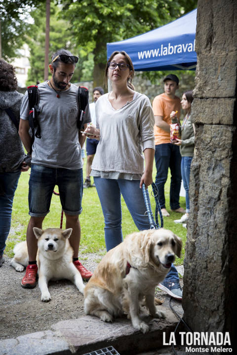 La Brava Beer. Festival Microclima. Camprodon