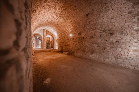 Soterranis de la Catedral
