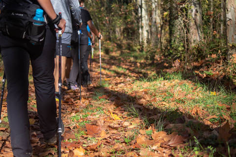 Marxa nòrdica: Ruta dels soldats de salamina