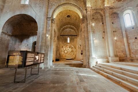 Sant Pere de Galligants